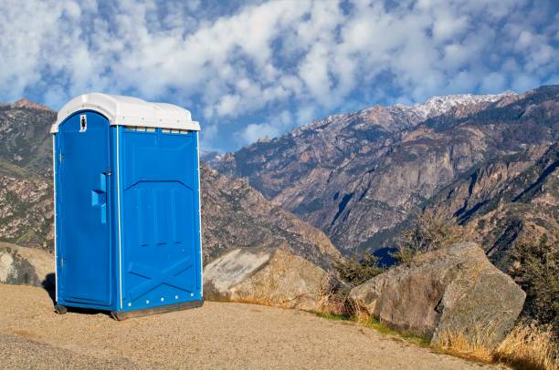 Best Portable Restroom Removal and Pickup  in Roman Forest, TX